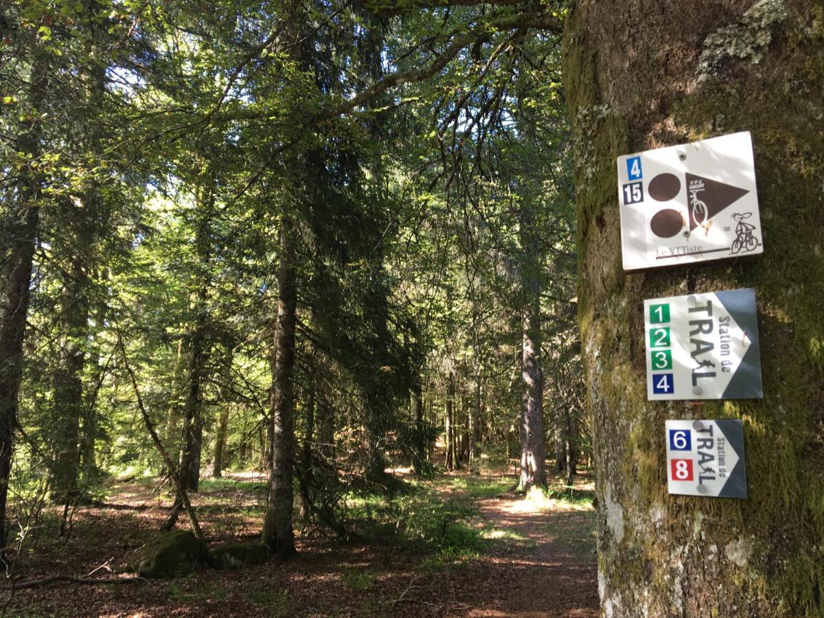 Le Belvosgien Apartman Gérardmer Kültér fotó